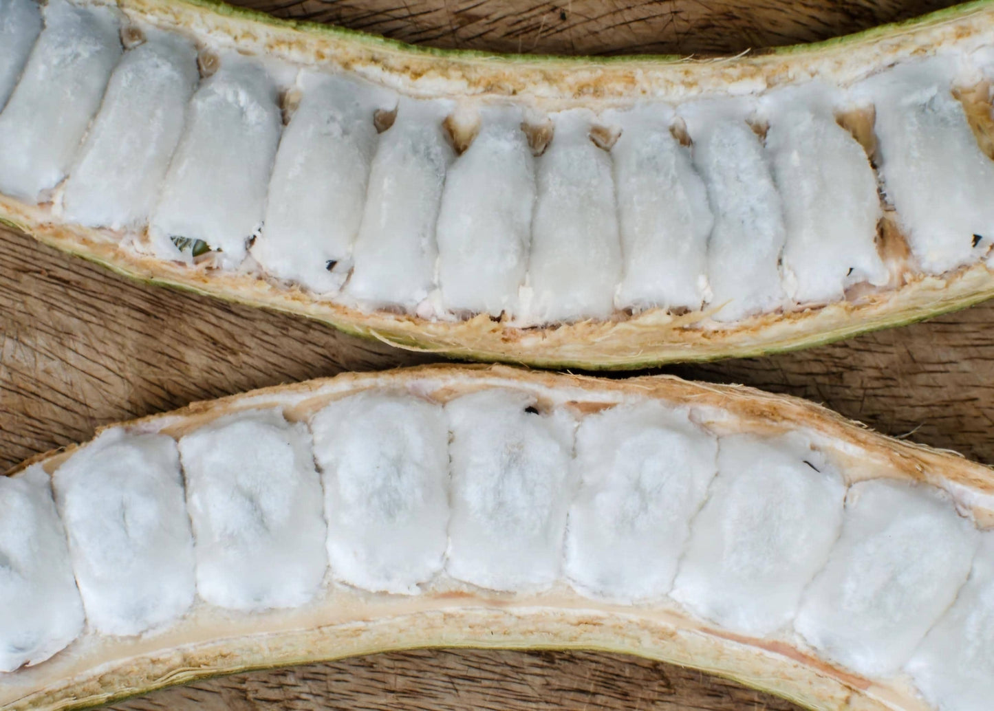 2-Pack Ice Cream Bean Tree Live Plant