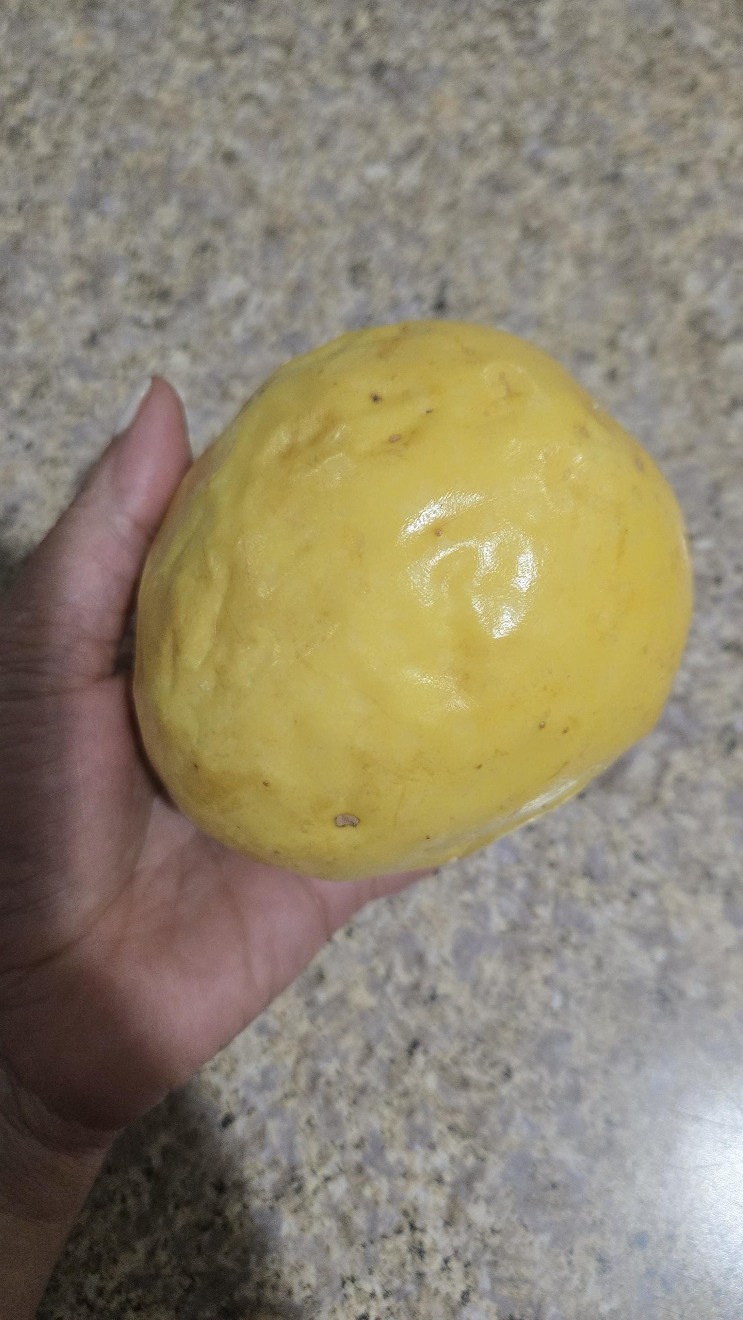 2-Pack Yellow Passionfruit Live Plant