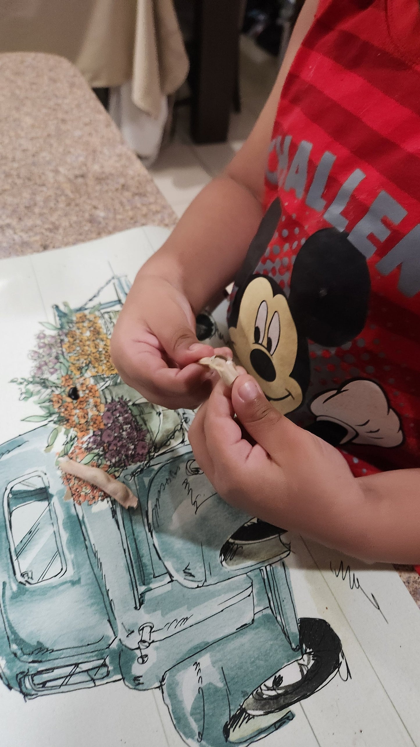 Puerto Rican Black Beans Seeds